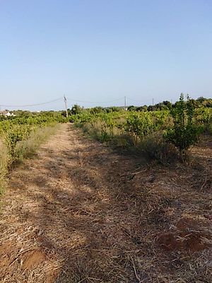 listing-picture-0