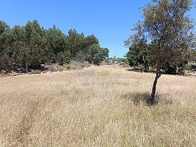 listing-picture-0