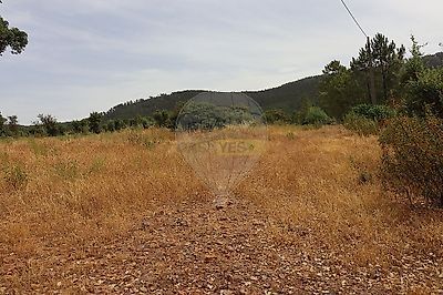 listing-picture-0