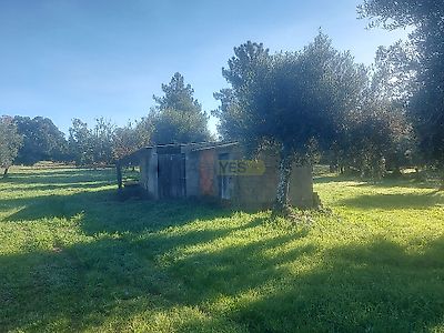 listing-picture-0