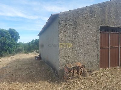 listing-picture-0