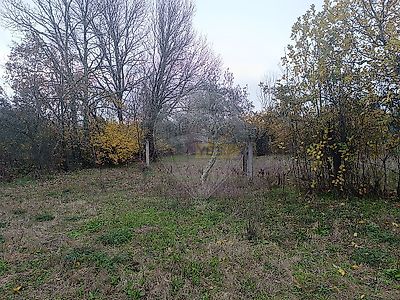 listing-picture-0