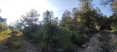 listing-picture-0