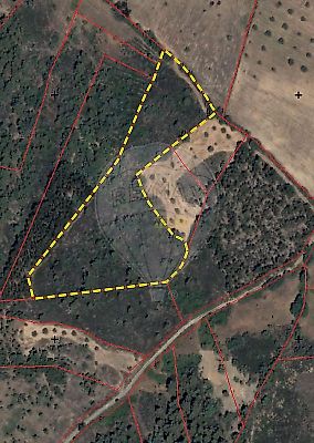 listing-picture-0