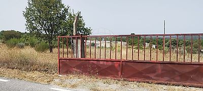 listing-picture-0