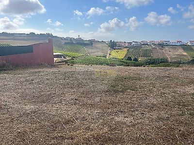 listing-picture-0