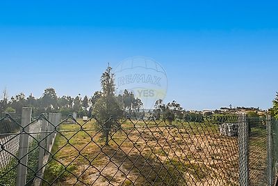 listing-picture-0
