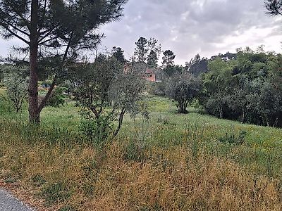 listing-picture-0
