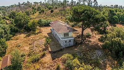 listing-picture-0