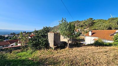 listing-picture-0