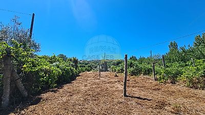 listing-picture-0