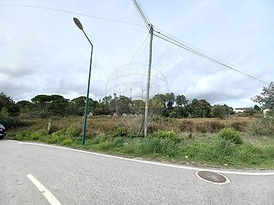 listing-picture-0