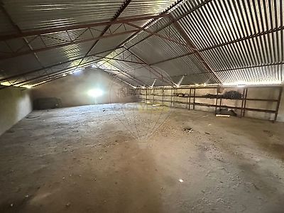 listing-picture-0