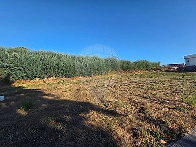 listing-picture-0