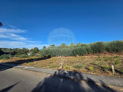 listing-picture-0