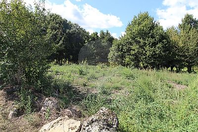 listing-picture-0