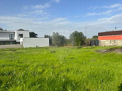 listing-picture-0