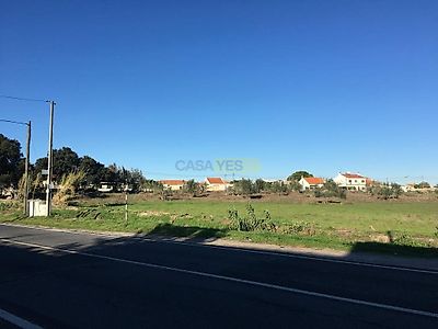 listing-picture-0