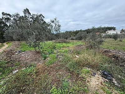 listing-picture-0