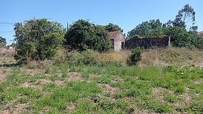 listing-picture-0