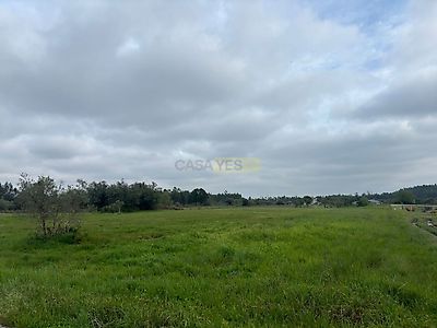 listing-picture-0