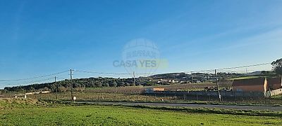 listing-picture-0