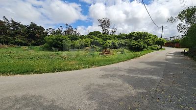 listing-picture-0