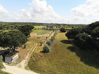 listing-picture-0