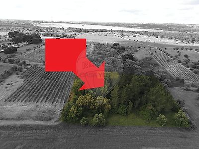 listing-picture-0