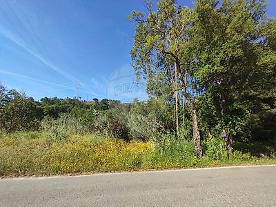 listing-picture-0