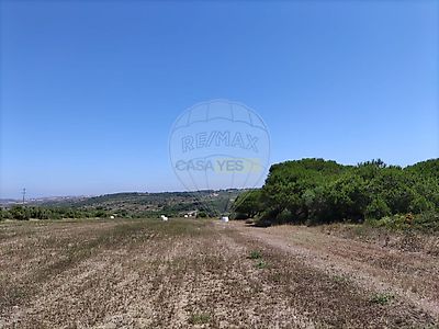 listing-picture-0