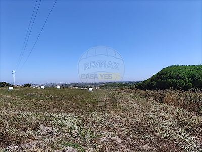 listing-picture-0