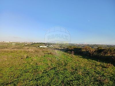 listing-picture-0