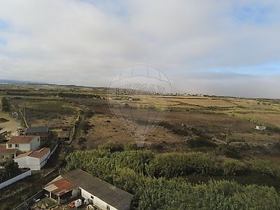 listing-picture-0