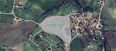 listing-picture-0