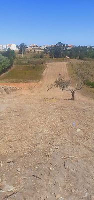 listing-picture-0