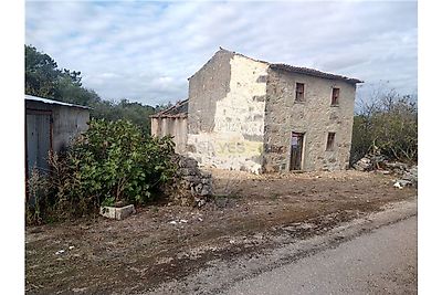 listing-picture-0