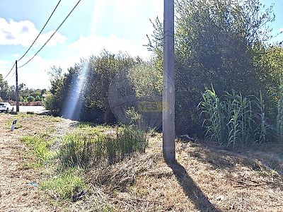 listing-picture-0