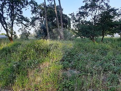 listing-picture-0