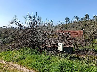listing-picture-0