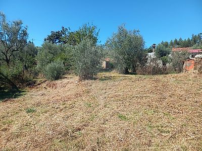 listing-picture-0
