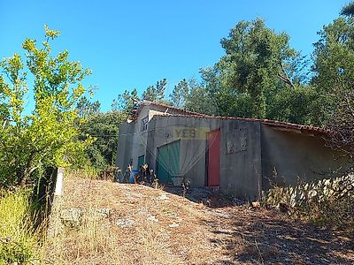 listing-picture-0