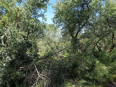 listing-picture-0