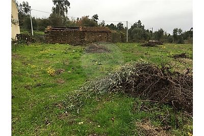 listing-picture-0