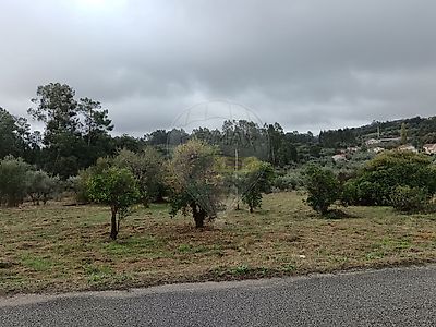 listing-picture-0