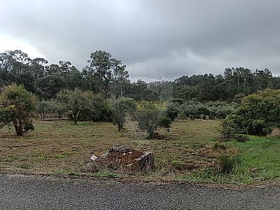listing-picture-0