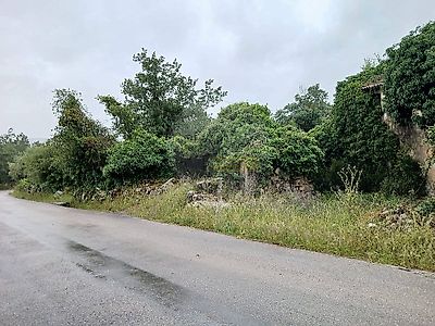 listing-picture-0
