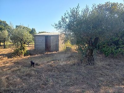 listing-picture-0