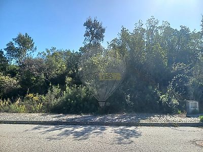 listing-picture-0