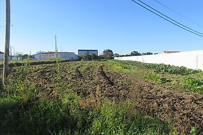 listing-picture-0